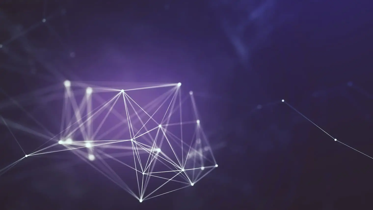 Bold innovation starts here. Gato Blanco drives your brand forward.