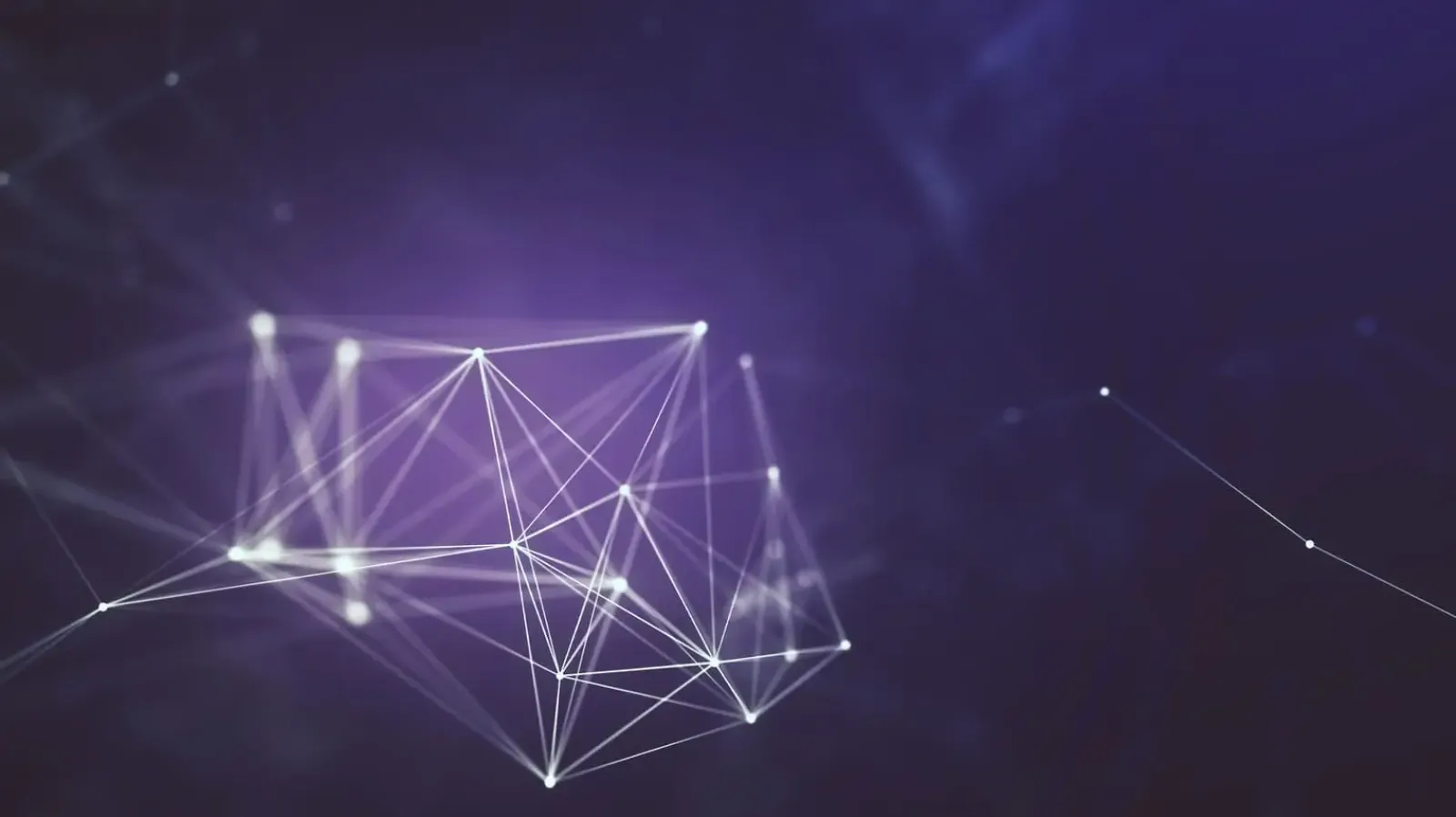 Bold innovation starts here. Gato Blanco drives your brand forward.